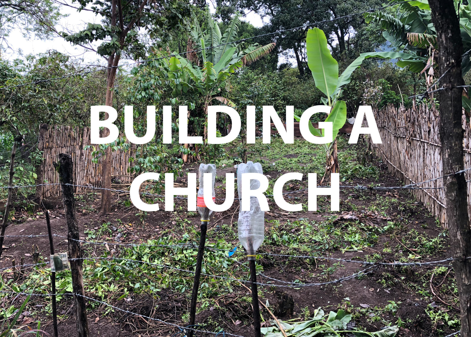 House Of Grace Ministries Grace