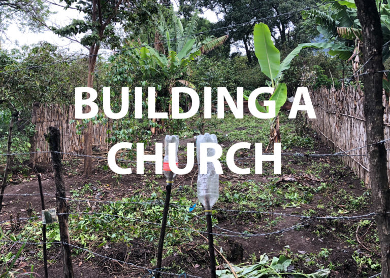 House Of Grace Ministries Grace